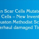 Human Scar Cells Mutate into Blood Cells – New Invention by Houston Methodist Scientist to Overhaul damaged Tissue