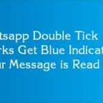 Watsapp Double Tick Marks Get Blue Indicating your Message is Read