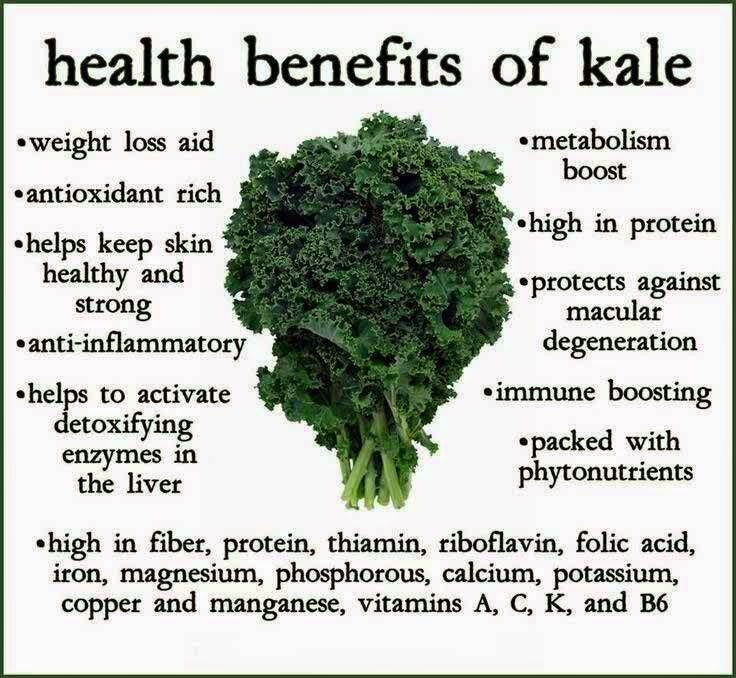 kale-benefits