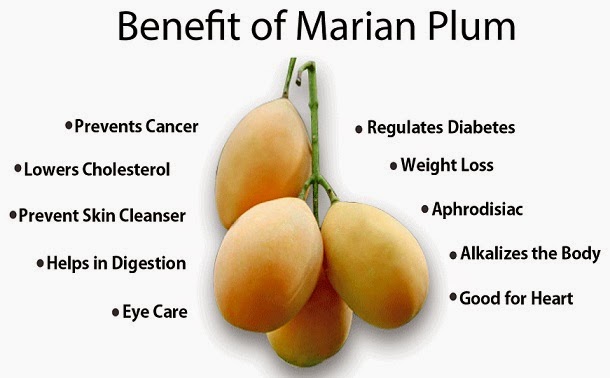 marina-plum-health-tips
