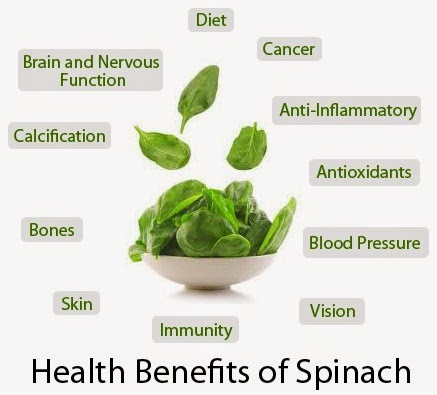 spinach-health-benefits
