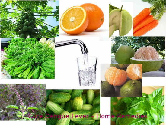 dengue-fever-treating-ailment-with-herbal-home-remedies