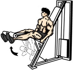 friday-gym-workout-schedule-leg-extension