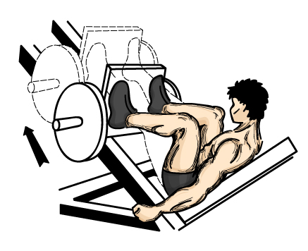 friday-gym-workout-schedule-leg-press