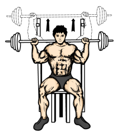 wednesday-gym-workout-schedule-seated-barbell-military-press