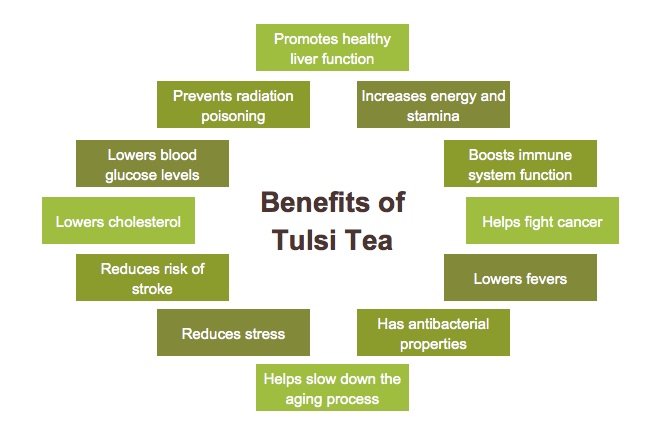 health-benefits-of-tulsi-tea