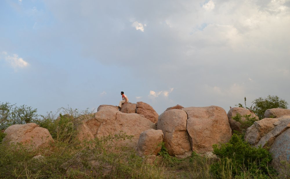 Parthasarathy Rocks, JNU