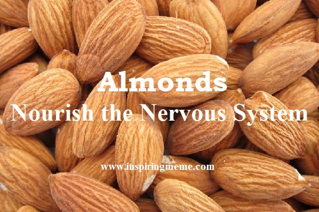 almonds dry fruits health benefit