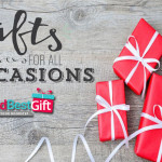 Shop Best Gifts for all Occasions with Send Best Gift