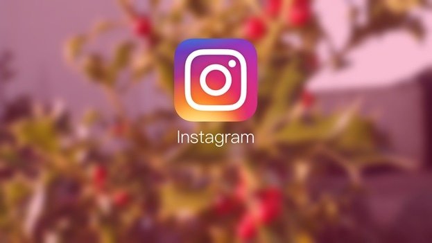 integrating instagram into website