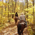5 Things to Do if You Get Lost in the Wilderness While Trail Riding