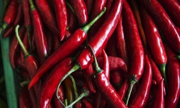 chilli vegetables for fat loss