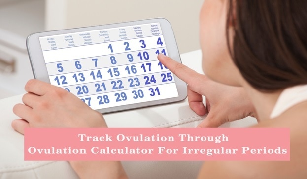 menstrual cycle ovulation calculator