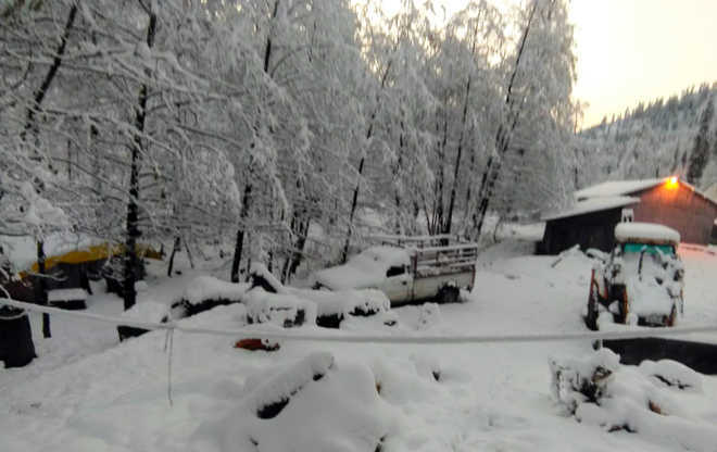 winter snowfall in kufri