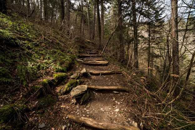 Image shows Steps on the Appalachian Trail leading to Clingman's Dome in the Great Smoky Mountains National Park, Tennessee.