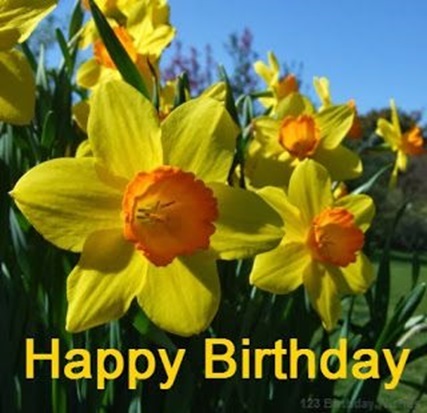daffodil birthday flowers