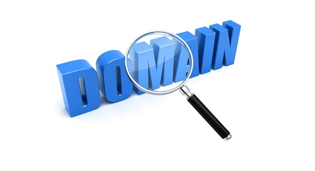 domain name guide