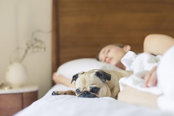 sleep apnea health risks