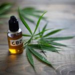 CBD for Pets:  Get to Know More About It