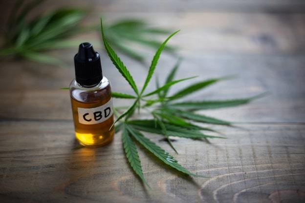 all about cbd oil for pets