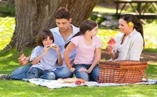 plan for a casual picnic