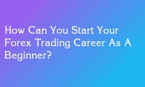 build a career in forex trading