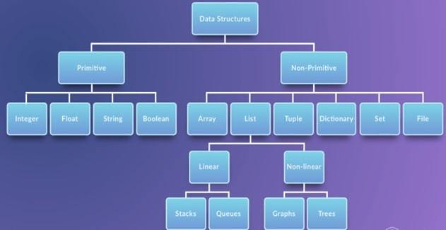 common python data structures
