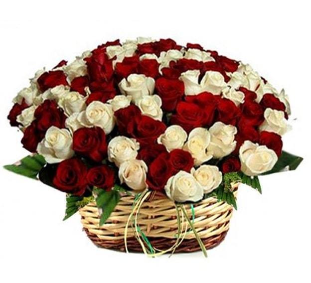red and white rose basket