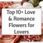Top 10+ Love And Romance Flowers for Lovers