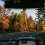 Didn't See That Coming: Windshield Care Tips to Help You Be a Better Driver