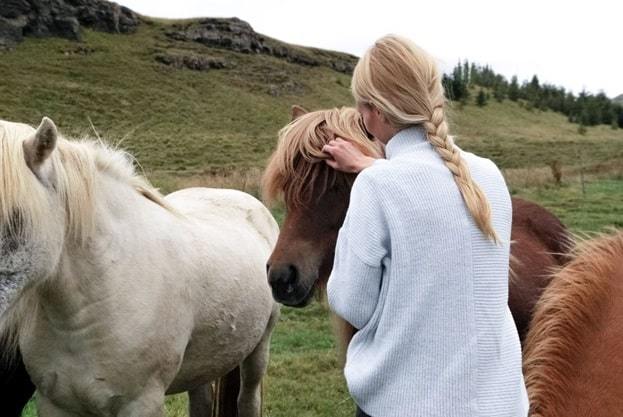 woman on farm cares horses