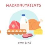 Children's Nutrition Guide: What Are Organic Macronutrients