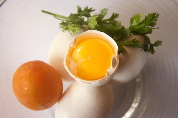 egg white nutrition