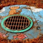 What Every Homeowner Needs to Know About Blocked Drains