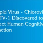 Stupid Virus - Chlorovirus ACTV-1 Discovered to Affect Human Cognitive Function