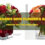 Reasons Why Flowers are Perfect Gift for Loved Ones