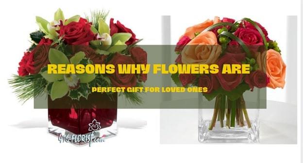 why do we give flowers as gifts