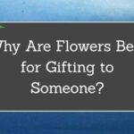Why Are Flowers Best for Gifting to Someone?
