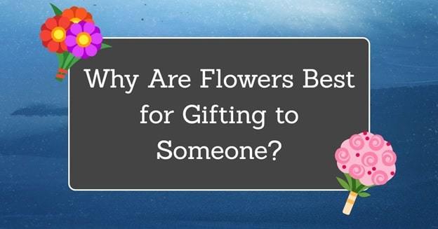 why flowers are best gift