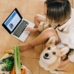 5 Health Products You Should Have for Your Pet