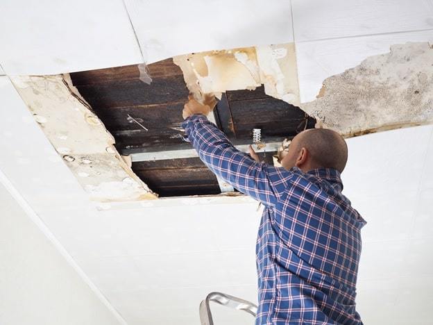 repairing ceiling dampness