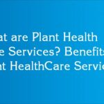 What are Plant Health Care Services? Benefits of Plant HealthCare Service