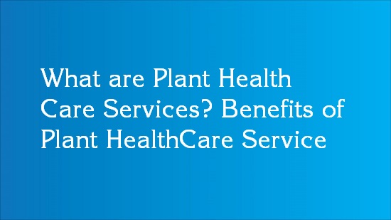 plant health care definition