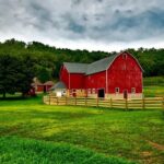 7 Things to Consider When Starting Your Own Farm