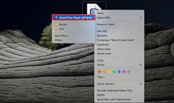 quicktime player option on mac