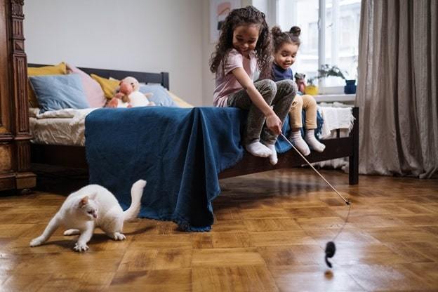 children are playing with white cat