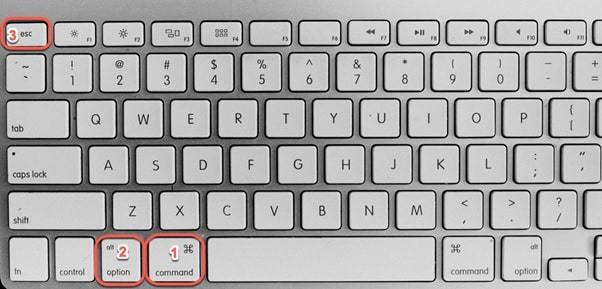 photo of macbook keyboard
