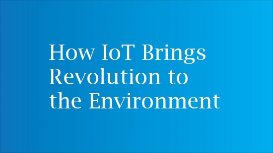 role of internet in iot