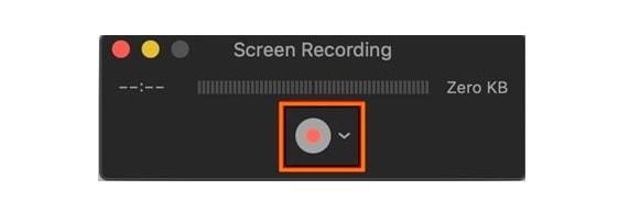 screen recording button view