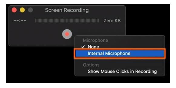 screen recording microphone option